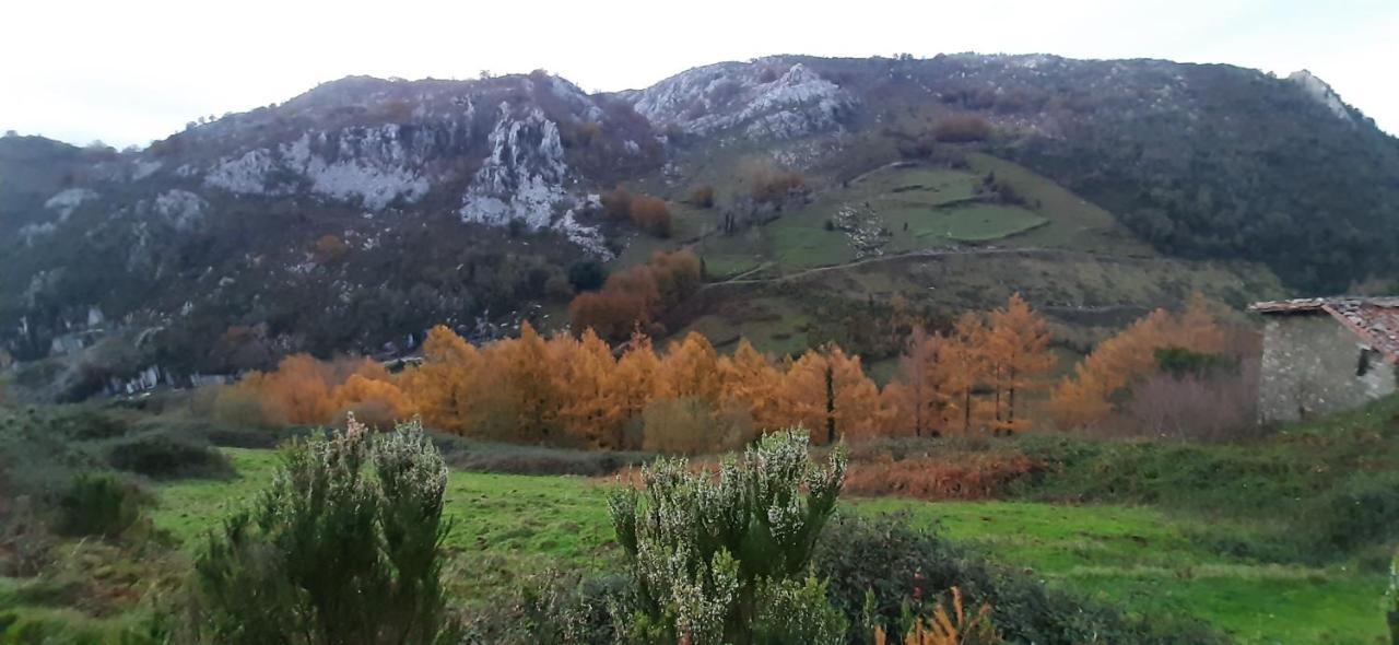 Ondarbaso Rurales Apartment Zestoa