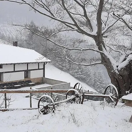 Ondarbaso Apartamentos Rurales III Zestoa Buitenkant foto